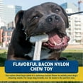 thumbnail image 4 of Bullibone Nylon Bone Dog Chew Toy - XL Bacon - 3 Pack, 4 of 6