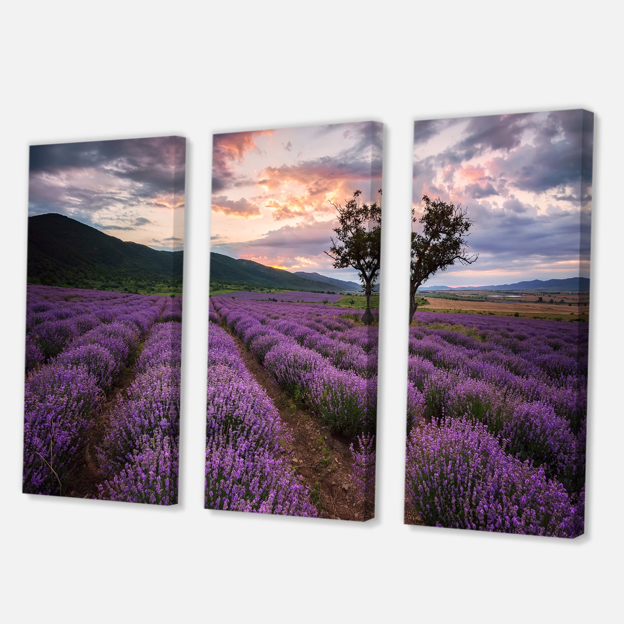 Lavender Field At Sunrise III 28 in x 36 in Photography Canvas Art Print, by Designart Set of 3