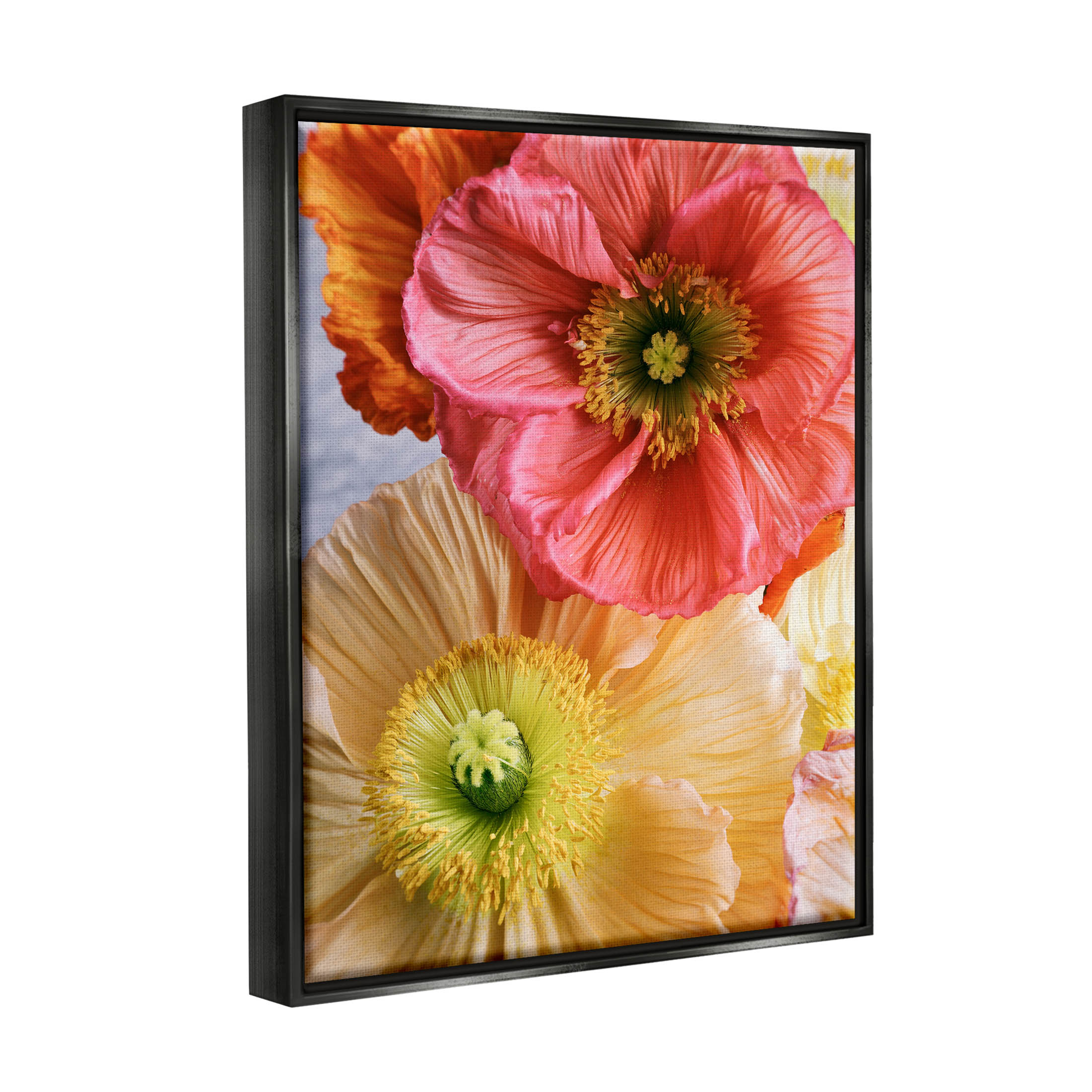 Detailed Poppy Flower Close Up Botanical & Floral Photograph Jet Black Framed Art Print Wall Art
