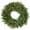 Green - 24 Inch, variant on Casafield 60 Inch Pre-Lit Artificial Christmas Wreath with LED Lights Indoor/Outdoor Holiday Décor