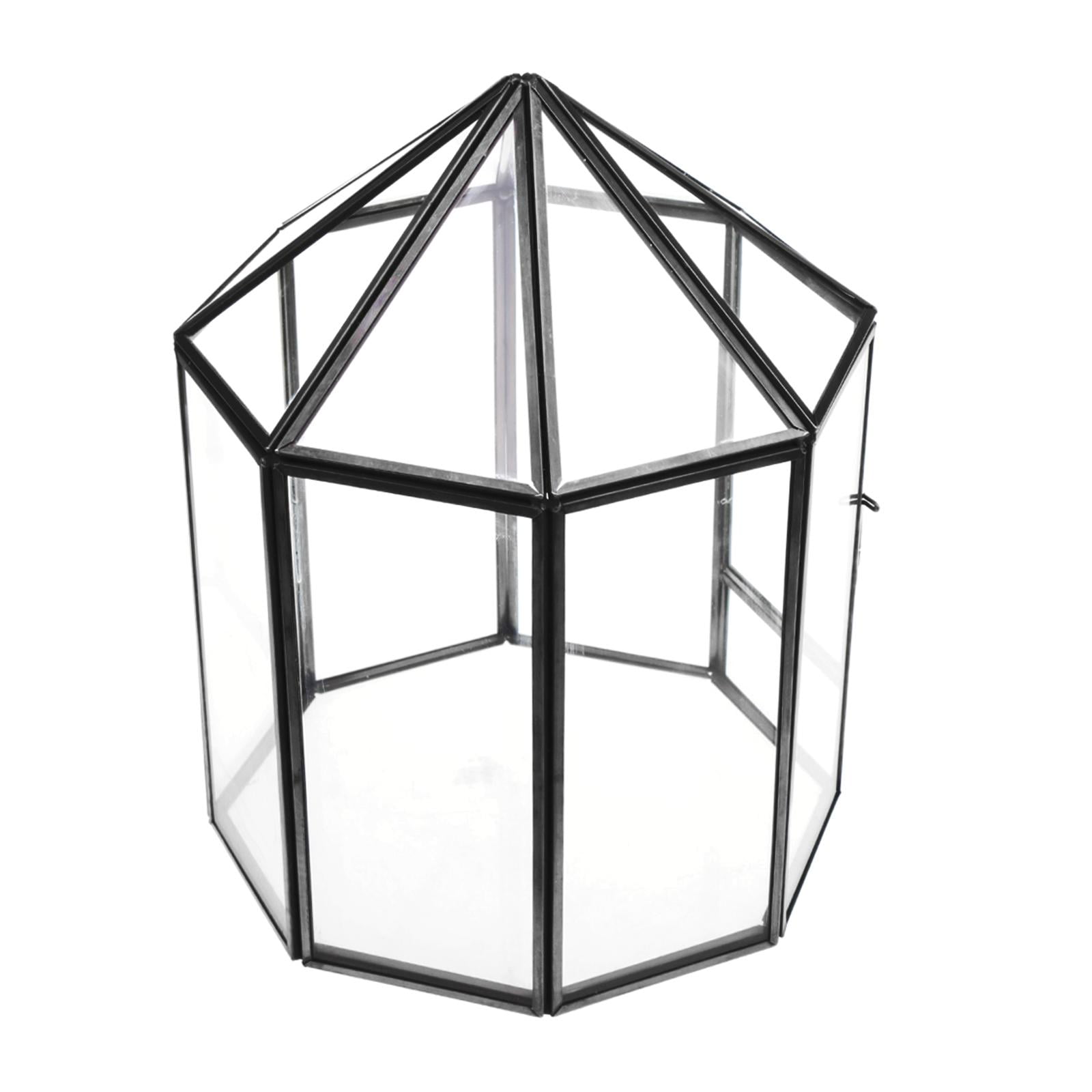 Prism Shaped Glass Terrarium 9-1/4-Inch 