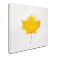 thumbnail image 2 of Trademark Fine Art "Autumn Colors II" Canvas Art by Sue Schlabach, 2 of 3
