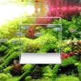 thumbnail image 2 of AQUATOP HCC-8 High Clarity Low Iron Glass 2.11 Gallon Cube Aquarium, 2 of 3