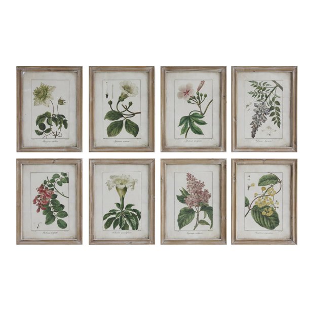 3R Studio Wall Art Wood Framed Single Flower Set of 8