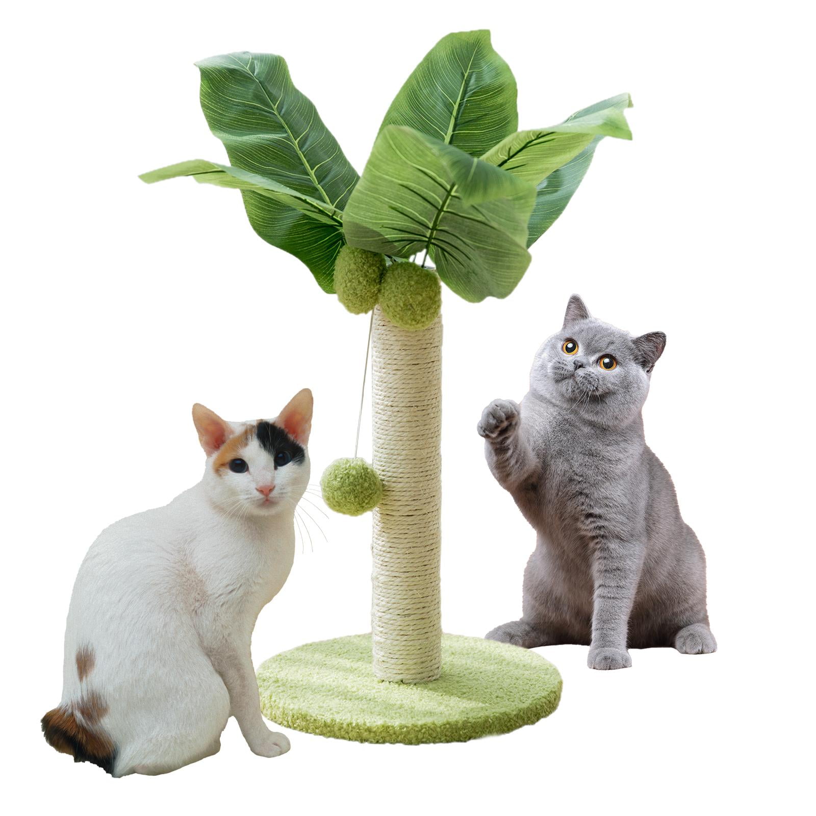 Cat Interactive Pet Toy Cat Supplies Toys Sisal Scratch 25cm