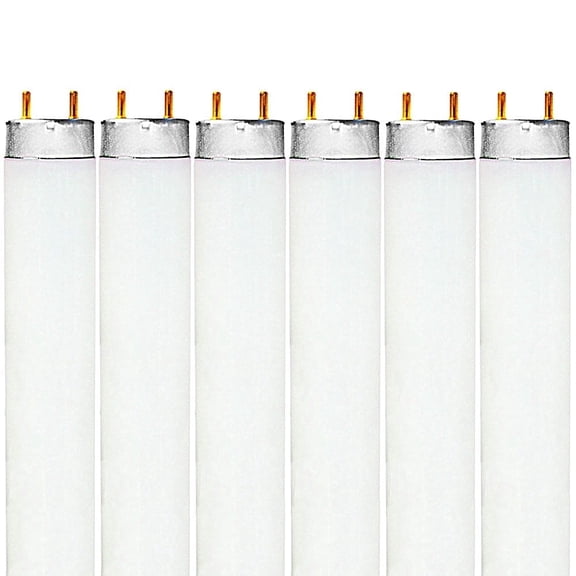 Luxrite F32T8/865 32W 48 Inch T8 Fluorescent Tube Light Bulb, 6500K Daylight, 2800 Lumens, G13 Medium Bi-Pin Base, LR20735, 6-Pack