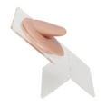 thumbnail image 1 of Modelo de Lengua Para Práctica de Anillo de Lengua, Modelo de Exposición de Acupuntura Flexible Con Soporte Acrílico, Suave y Elás, 1 of 7