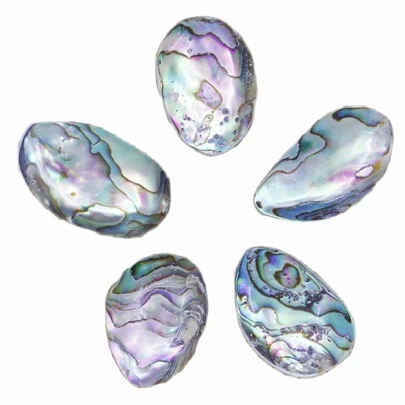 K-KED 5 PCS 12mmx22mm Oval Abalone Natural Rainbow Paua Shell Charms Pendants