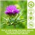 thumbnail image 5 of Oimmal Milk Thistle for Dogs 180 Chewable Tablets - Liver Support Supplement with DHA and EHA - Dogs Liver Protection & Defence, Kidney Cleanse Detox - 2packs, 5 of 10