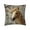 C, variant on Dtchengua Embroidered Horse Pillow Cover - Luxurious Short Plush Throw Pillow Case, 18x18 Inch Decorative Accent for Sofa, Bed, or Chair, Cute Home Decor(2Pcs)