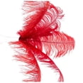 thumbnail image 3 of 40 Pcs Natural Ostrich Feathers Wedding Decoration Red 20-25cm, 3 of 4