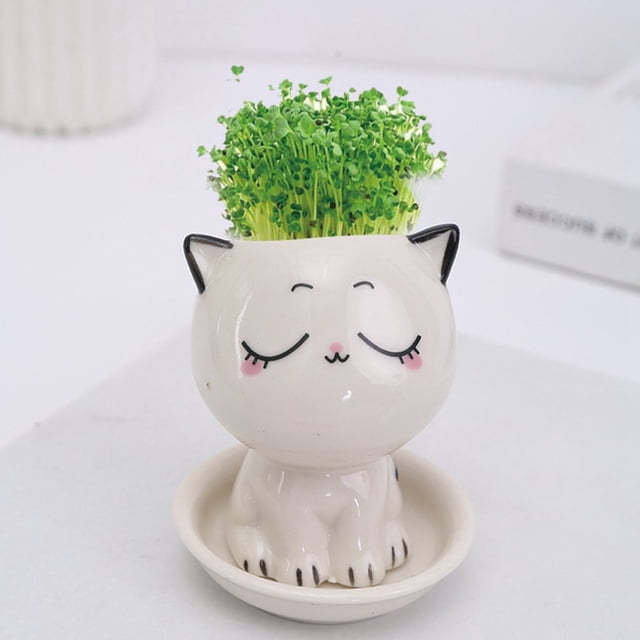 Ceramic Flowerpot Mini Cat Shaped Cartoon Potted Plant Desktop Potted Expression Cat Plant Pot Desk Decorate Small Ornament