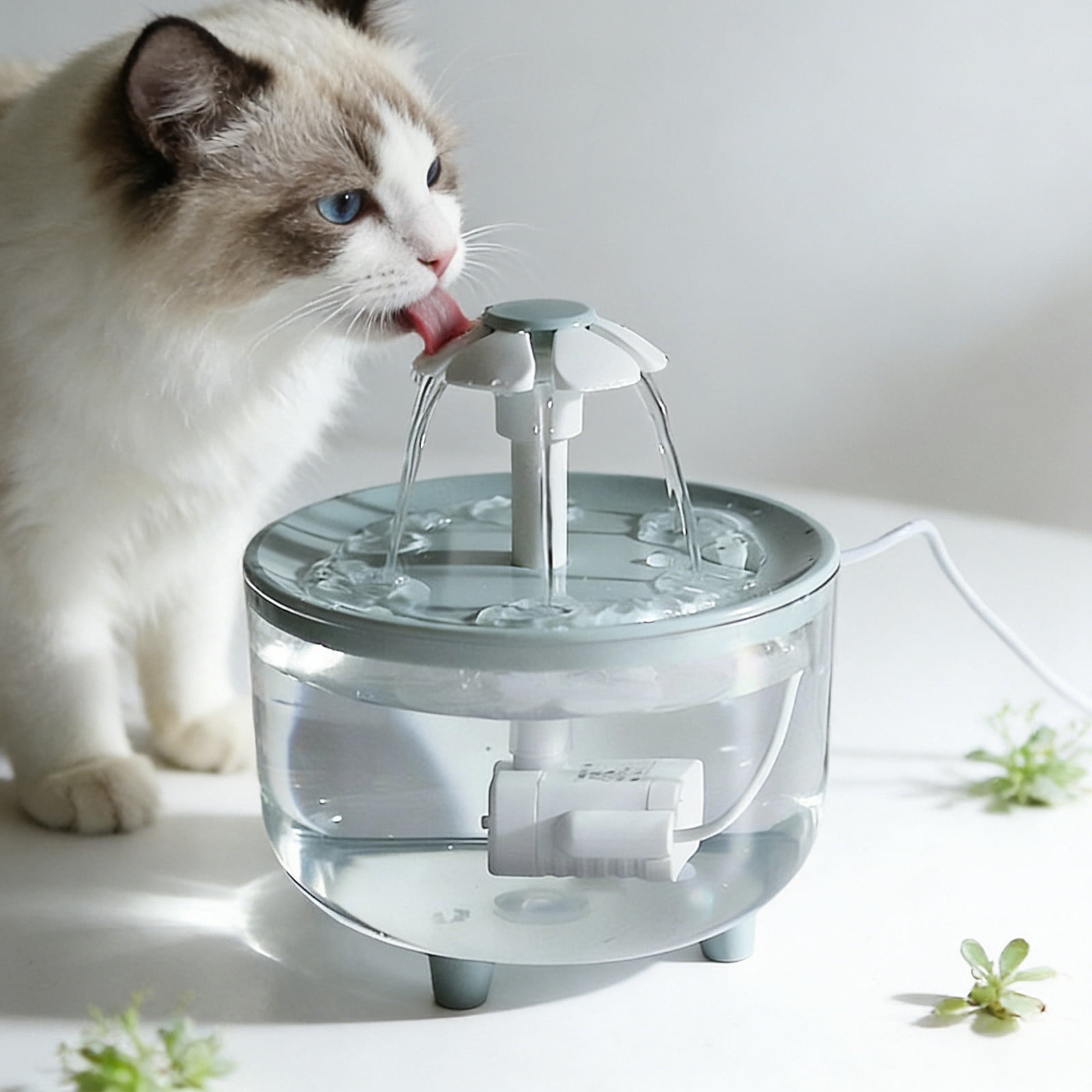 AURIGATE Pet Water Dispenser Fountain, Automatic Circulation Filter Cat Water Feeder, Intelligent Flowing USB Water Fountain for Pets, Green Drinking Bowl