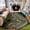 Color 4, variant on Gelasgo Abstract Brushstroke Velvet Area Rug, Modern Artistic Pattern Decorative Carpet, Soft Indoor Floor Mat for Bedroom Living Room Office Dorm Home Decor