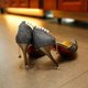 thumbnail image 5 of High Quality SO beautiful high heels ladies heels ladys heels for womens shoes heels girls shoes black Gold silver 38, 5 of 5