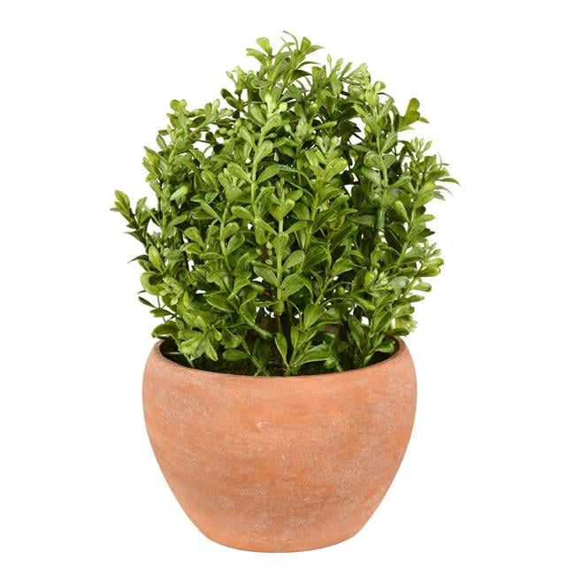 Vickerman FK181502 10 in. Green Boxwood Moderne Bush ...