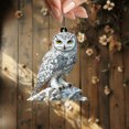 thumbnail image 4 of 2D Flat Acrylic Owl Window Hanging – Elegant Snowy Owl Sun Catcher for Car & Home – Unique Handmade Bird Decor – Mystical Woodland Ornament – Perfect Gift for Nature, Boho & Animal Lovers, 4 of 4