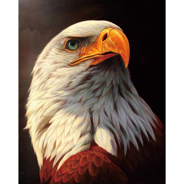 Cuadros Decorativos Águila blanca 5D diamante pintura bordado Kits DIY mosaico artesanía decoración del hogar Ndcxsfigh Nuevos Originales