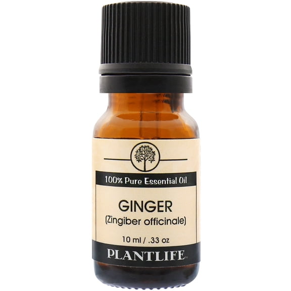 Plantlife Ginger Aromatherapy Essential Oil - Straight From The Plant 100% Pure Therapeutic Grade - No Additives or Fillers - 10 ml