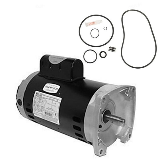 Puri Tech Sta-Rite Max-E-Pro 1.5HP P6R6F-207L Replacement Motor Kit AO Smith SQ1152 Motor w/ GO-KIT-79