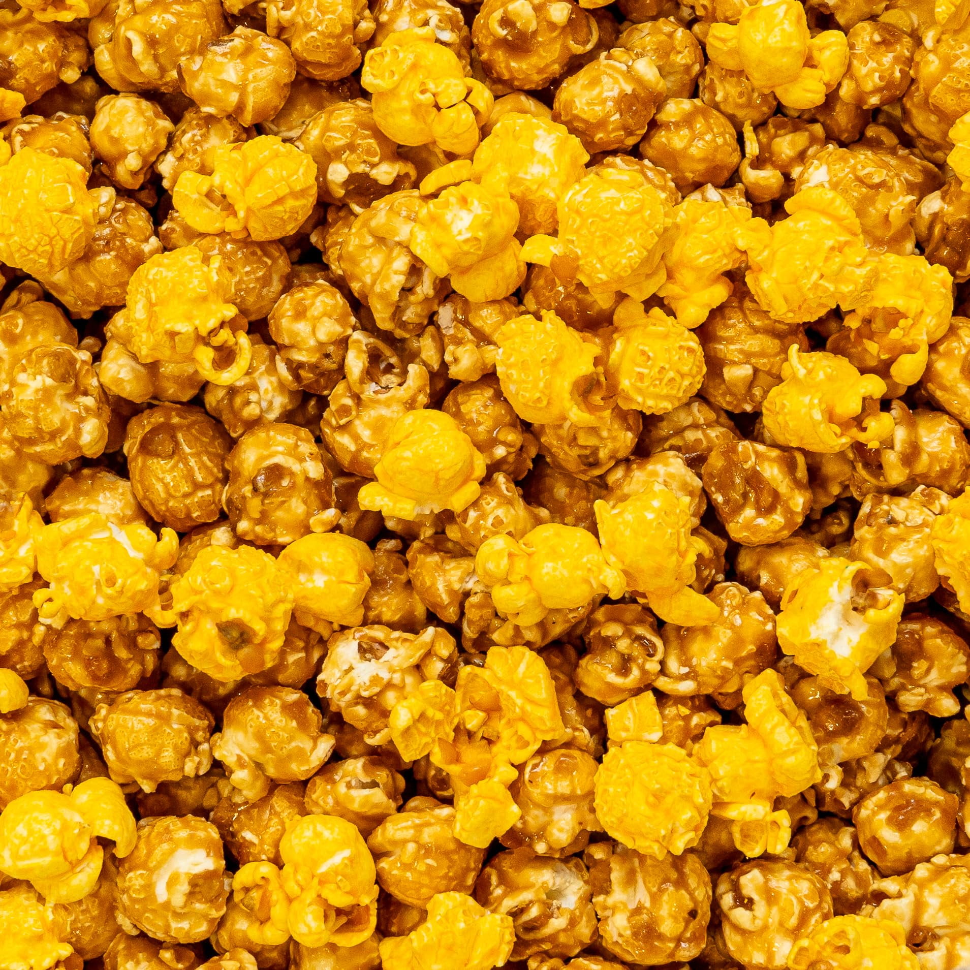 Colby Ridge Salted Caramel & Cheddar Gourmet Craft Popped Gluten Free Popcorn Bulk Sized Large Gift Bash Bags (Bulk 18 Gal. 288 Cups.)