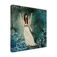 thumbnail image 2 of Trademark Fine Art 'Winter Angel' Canvas Art by Janelle Nichol, 2 of 3