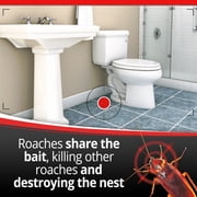 Combat Max Defense System Small Roach Killing Bait 12 Ct + Roach Killing Gel Syringe 12g