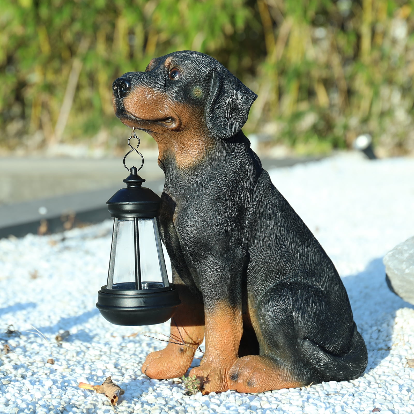 11.8 Inch Rottweiler Garden Statue with Solar Lantern – Lifelike Resin Statue, Decor for Patio, Lawn & Outdoor Spaces