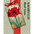 thumbnail image 4 of Amaryllis Kit Red Lion - Gift Box - Large Bulb - Pot and Soil - Netherland, 4 of 4