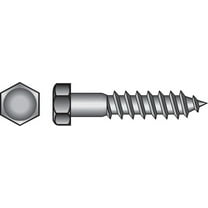 Hillman 1/4" Stainless Steel Hex Lag Screw