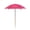 C, variant on Decorative Flower Printed Small Metal Umbrella Compact Wind Resistant Sun Parasol for Garden Accent