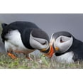 thumbnail image 2 of Fu, Molly 24x17 White Modern Wood Framed Museum Art Print Titled - Whisper, 2 of 4
