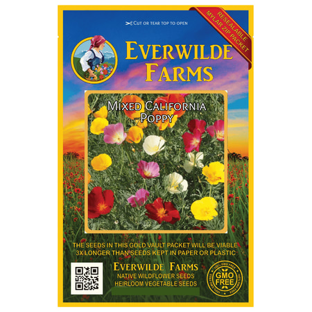 Everwilde Farms - 1000 Mixed California Poppy Garden Flower Seeds - Gold Vault Jumbo Bulk Seed (Best Time To Plant California Poppy Seeds)