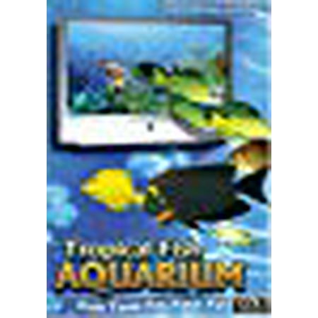 Tropical Fish Aquarium