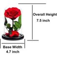thumbnail image 2 of Preserved Roses Black Roses in Glass Dome, Medium, Real Rose That Last 2 to 3 Years, Black Roses Gifts for Her (7.5 inch), 2 of 12