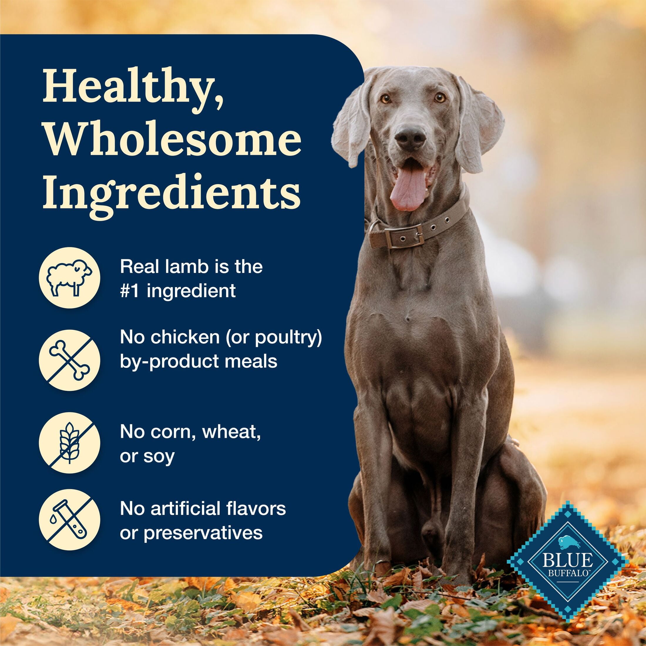 (12 pack) Blue Buffalo Delectables Natural Wet Dog Food Topper, Lamb Dinner 3oz