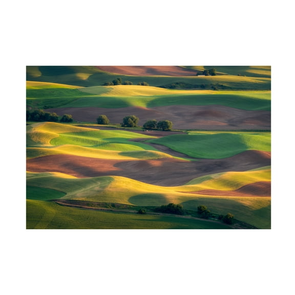 Gerald Macua 'Colorful Palouse' Canvas Art