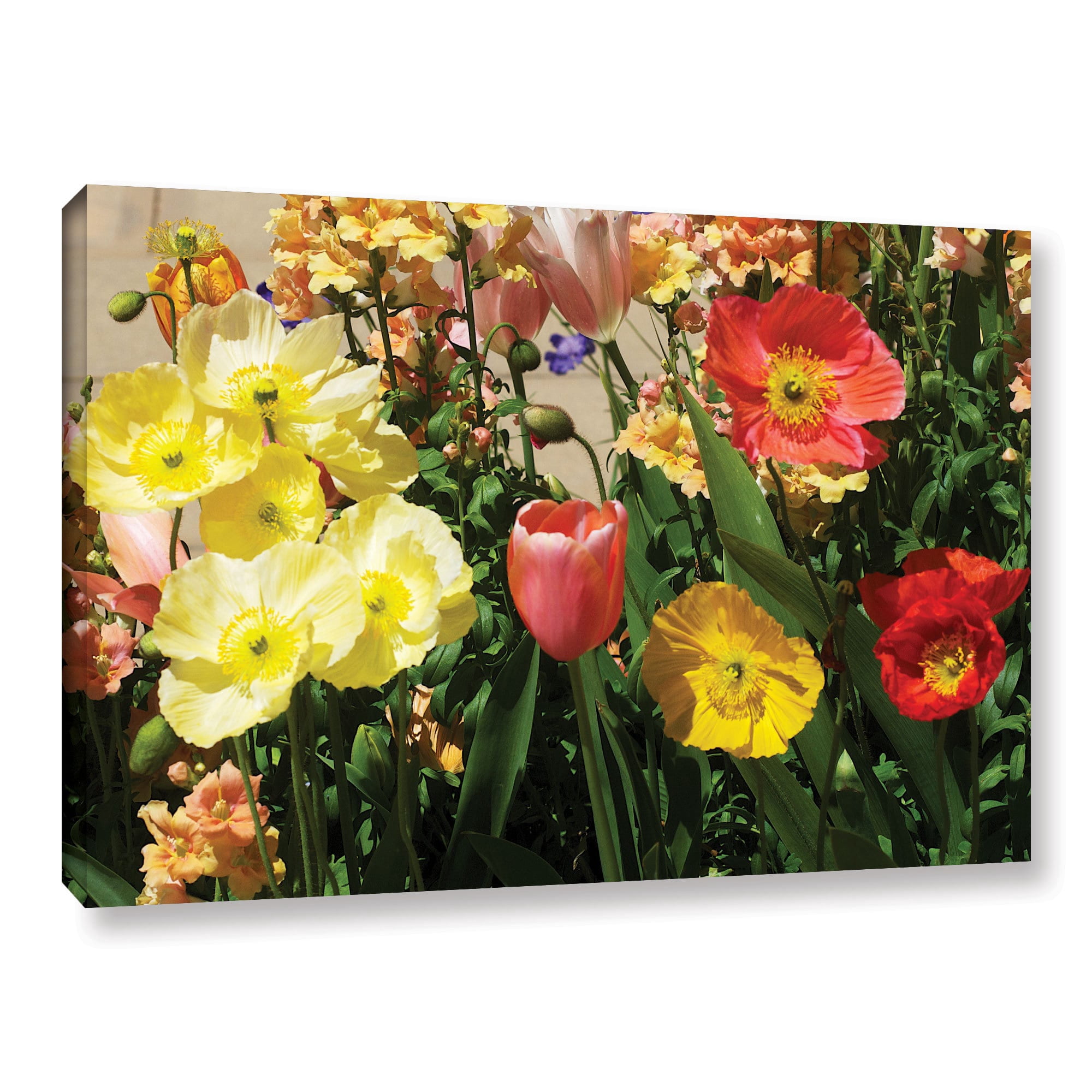 ArtWall Allan Friedlander "Yellow Flowers" Gallery-wrapped Canvas