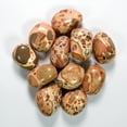 thumbnail image 4 of 10PCS Leopardite Cabochon Pebbles Natural Polished "Leopardskin" Quartz Rhyolite Stone Mineral Crystal Cab - Peru, 4 of 4