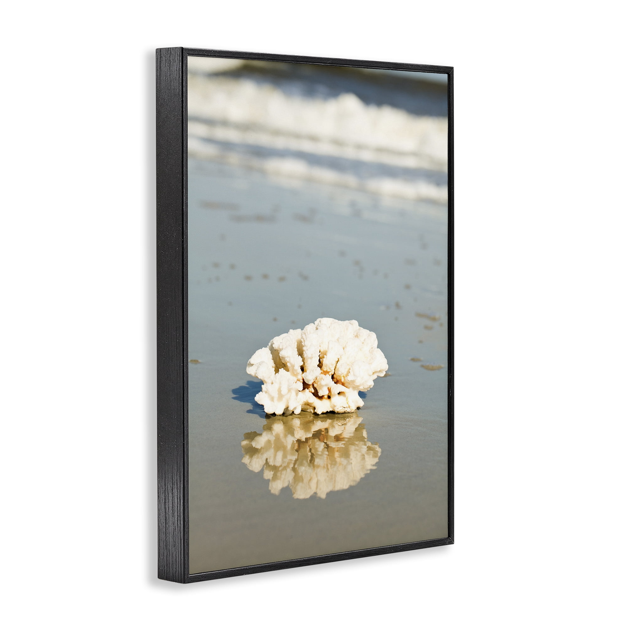 Stupell Industries Coral on Sea Shore Coastal Photography Black Framed Art Print Wall Art, 12 x 18