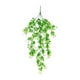 thumbnail image 2 of Plantas colgantes artificiales - Juego de 2 piezas de enredaderas de hiedra sintética de 75 cm para decoración de paredes y cestas • Morado, rojo, verde, amarillo, blanco, 2 of 6