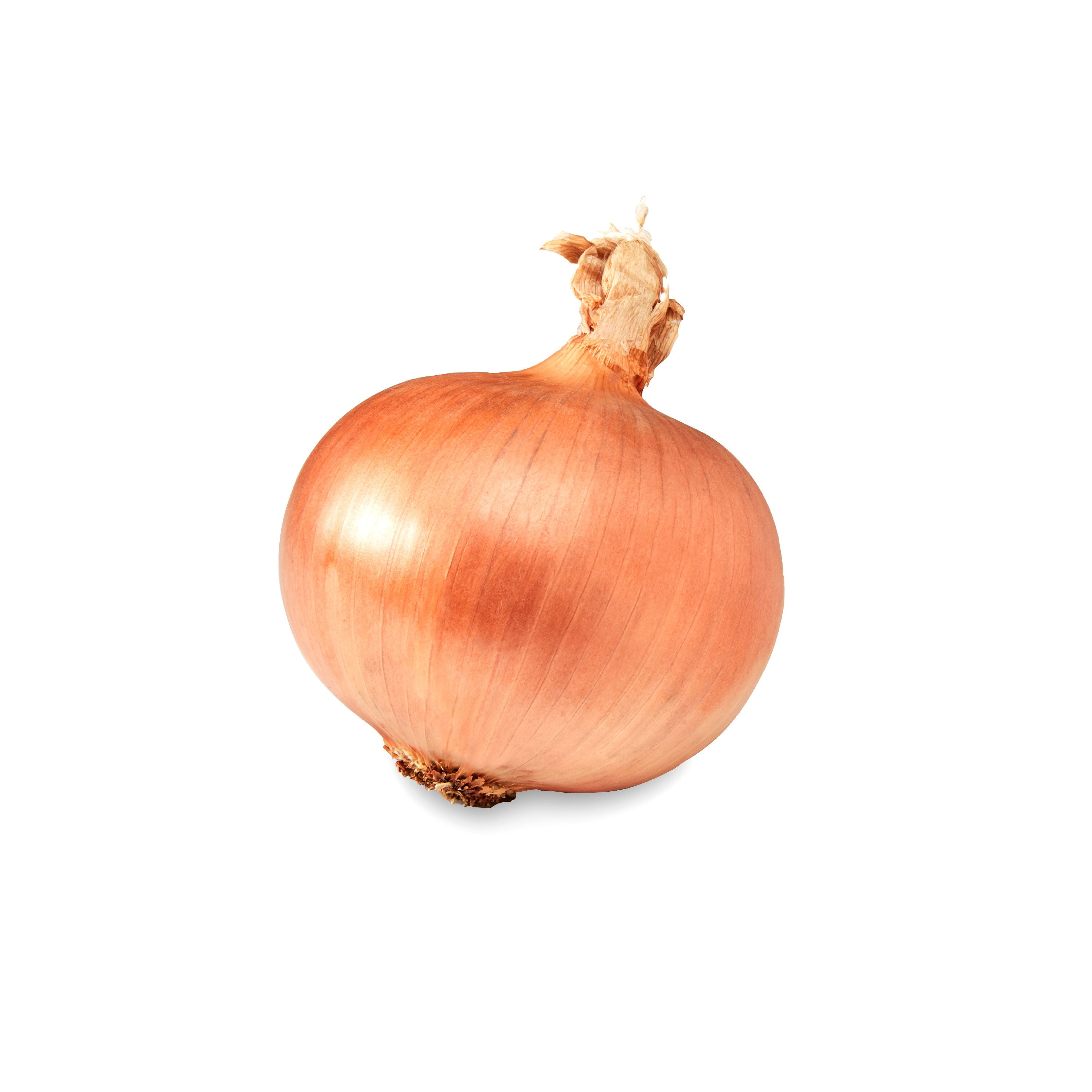 Jumbo Yellow Onions