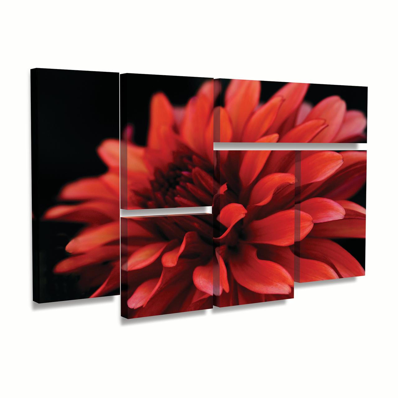 Trademark Fine Art 'Red Dahlia' Canvas Art by Kurt Shaffer