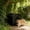 Black, variant on MTBLYS Outdoor Cats House for Feral Cats Waterproof Sun Protection Pet Tent Insulated All Seasons Shelter 12.99X12.99X15.75 Inch Foldable Portable Cat Bed for Porch Yard