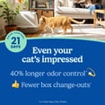 thumbnail image 3 of Fresh Step Ever Fresh Multi Cat Clumping Litter with Febreze Freshness, 21 lb, 3 of 16