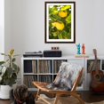 thumbnail image 4 of Art.com Lemon Grove II Photo by Karyn Millet, Brown Frame Wall Art, 32" x 44", 4 of 5