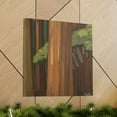 thumbnail image 6 of Redwood Tree in Deco - Canvas, 6 of 10