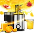 thumbnail image 1 of Extracteur de Jus pour Fruits et Légumes Entiers 600 W en Acier Inoxydable 500 ml, 1 of 5