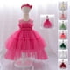 thumbnail image 2 of Vestido de niña Vestido de princesa Vestido de bebé de un año Vestido de niña de flores Vestido de niña con lazo de malla, 2 of 6