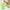Green, variant on HongHeng Plastic Bowls with Lids set of 4 - Unbreakable and Reusable Plastic Cereal/Soup/Salad Bowls Multicolor, BPA Free